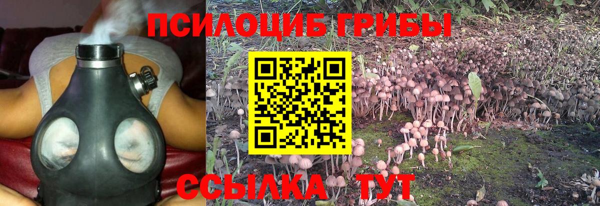 Псилоцибиновые грибы MAGIC MUSHROOMS  купить наркотики цена  Кувандык  Галлюциногенные грибы Magic Shrooms  Вход с VPN 